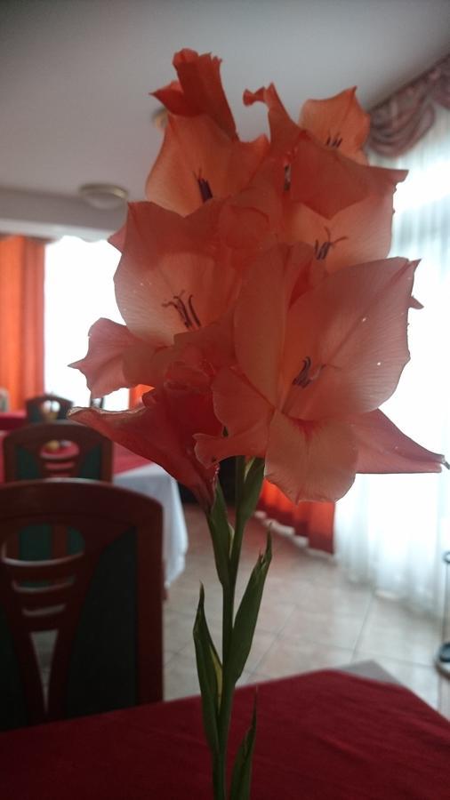 Penzion Zeleni Kakadu Maribor Exteriér fotografie